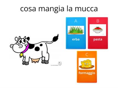 cosa mangiano gli animali