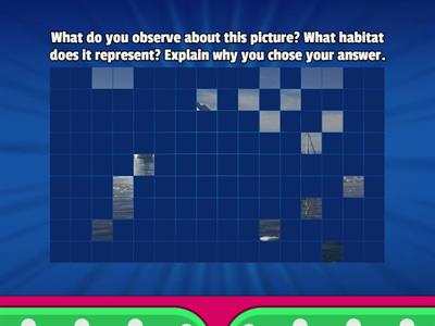 Visual Puzzles - Habitats