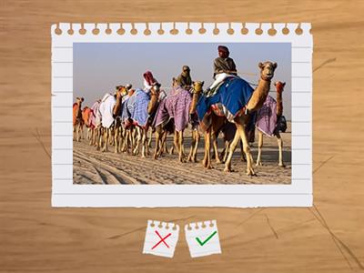 Go Getter 4 Unit 3.1