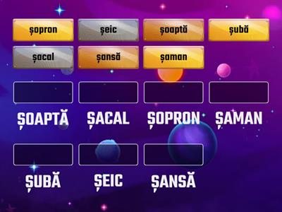 Ș INIȚIAL CORESP LITERE MICI-MARI