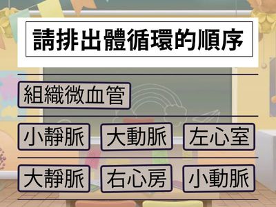 人體的血液循環系統