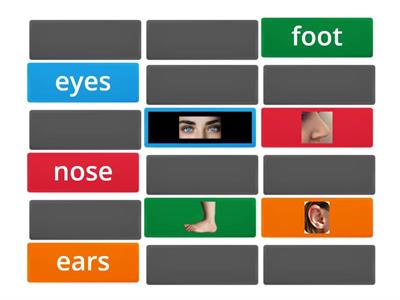 Body parts- memory Click 3 Unit 3