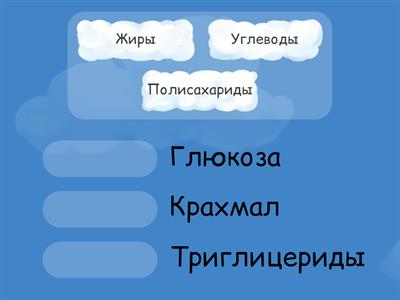 Био колледж