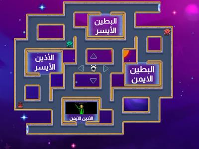 حجرات القلب