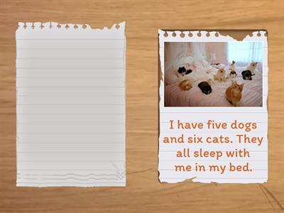 Metro 1 L28 Showing interest