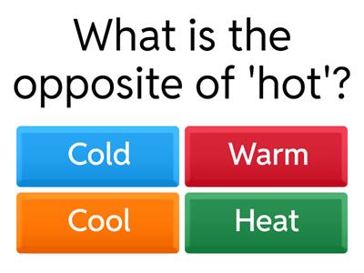 Opposites (form Nikita Amit High School)