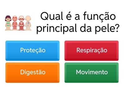 Revisão sobre a Pele