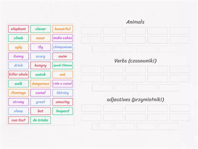 JE 4 unit 6 (animals, verbs, adjectives)