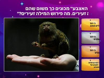 הקופים הקטנים ביותר בעולם- קוראים לעיניין חוברת 3