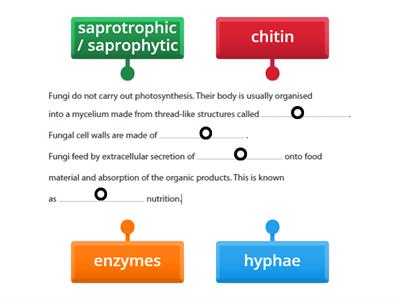 Fungi (Edexcel iGCSE Bio)