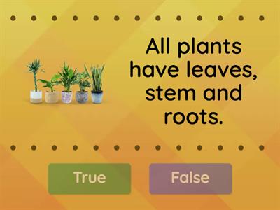 Characteristics of Plants (True/False)