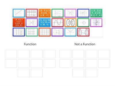 Function or Not a Function
