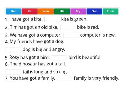 Possessive adjectives 