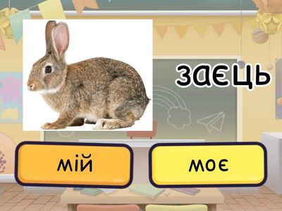 Мій, моя, моє, мої 