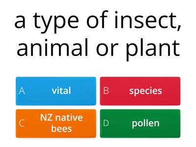 Bees in NZ Vocabulary