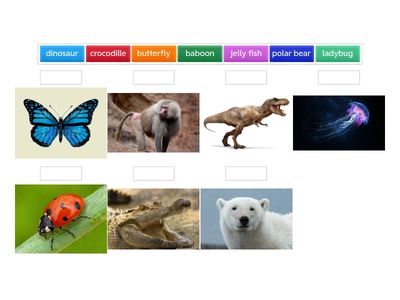 See you later aligator...