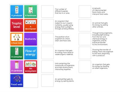 Energy and Environment match game IGCSE