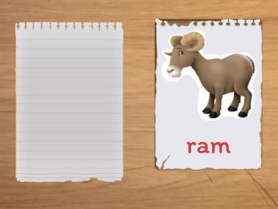 Oxford Phonics 2 Flashcards p.6