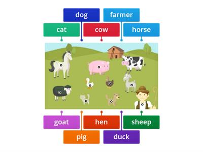 Farm animals