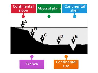 Label the Ocean Floor