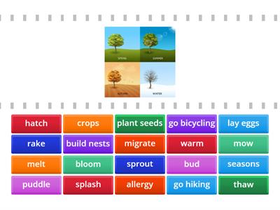 Spring Vocabulary