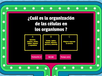 Organización de los seres vivos