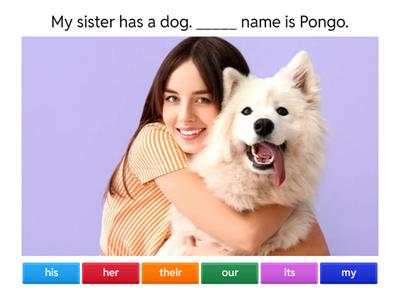  Possessive Adjectives