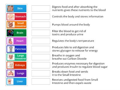 Match up Organs and Functions