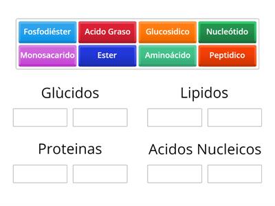 BIOMOLECULAS 