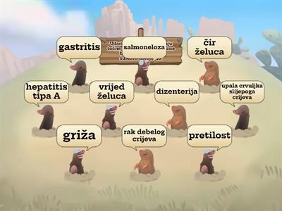 Bolesti probavnog sustava