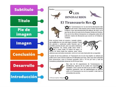 Estructura de un Texto Informativo, 4to grado.