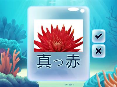 漢字スキル小4　P52