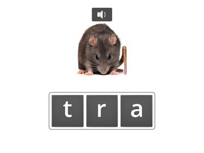 Sounds Write Unit 5 (klru)