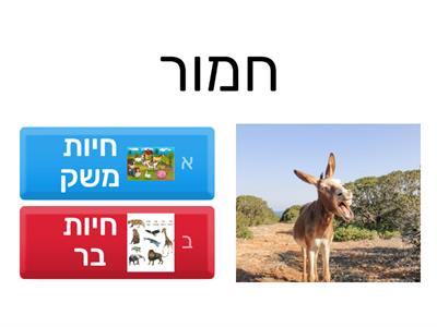 חידון חיות בר חיות משק