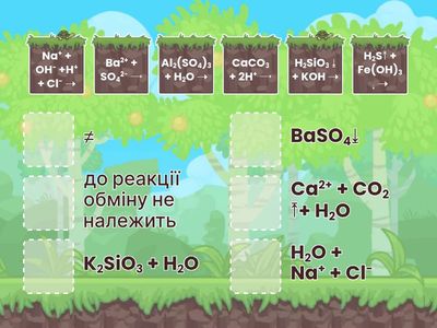 9 клас. Реакції йонного обміну