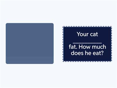 be like / look like / like