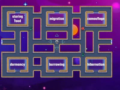 Behavioral Adaptations