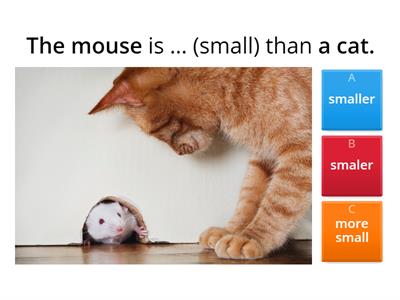 ADJECTIVES: Comparatives and superlatives