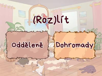 Čeština 4 třída