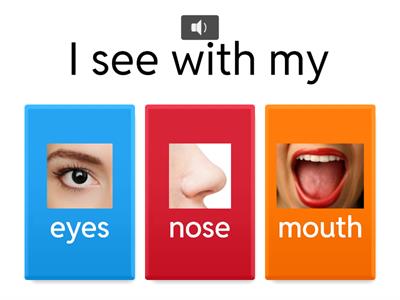  5 Senses