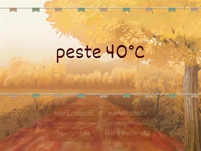  În coloana A sunt enumerate cifre de la 1 la 4. În coloana B sunt enumerate litere de la a la e. Scrieți pe foaie aso