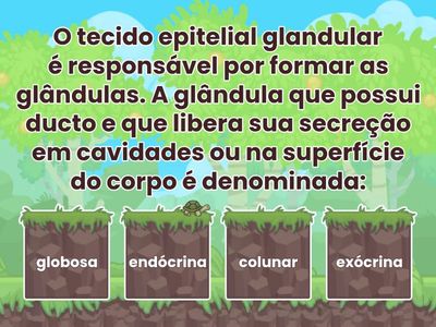 NEO Tecido Epitelial