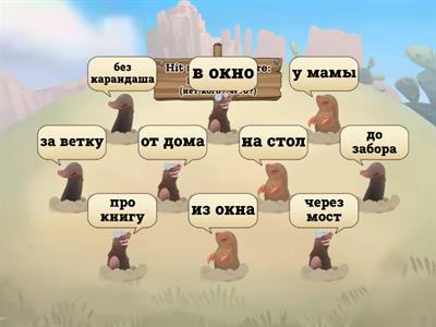  Родительный и винительный падежи 