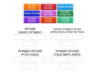 מערכות הגוף כיתה י