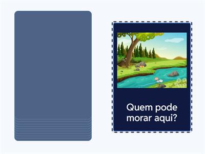  Funções executivas