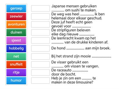 Woordenschat groep 7-8