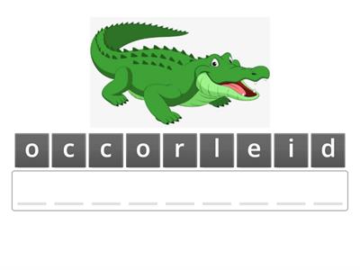 Unit 4: Wild animals - anagram