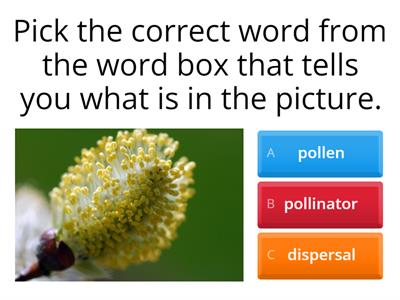 Plant Review-Pollination and Seed Dispersal