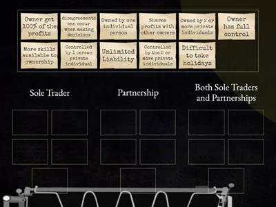 Sole Trader or Partnership