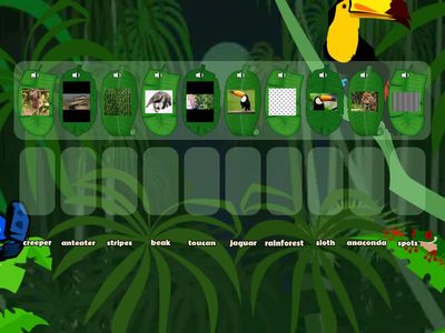 SM5_unit2_In the rainforest